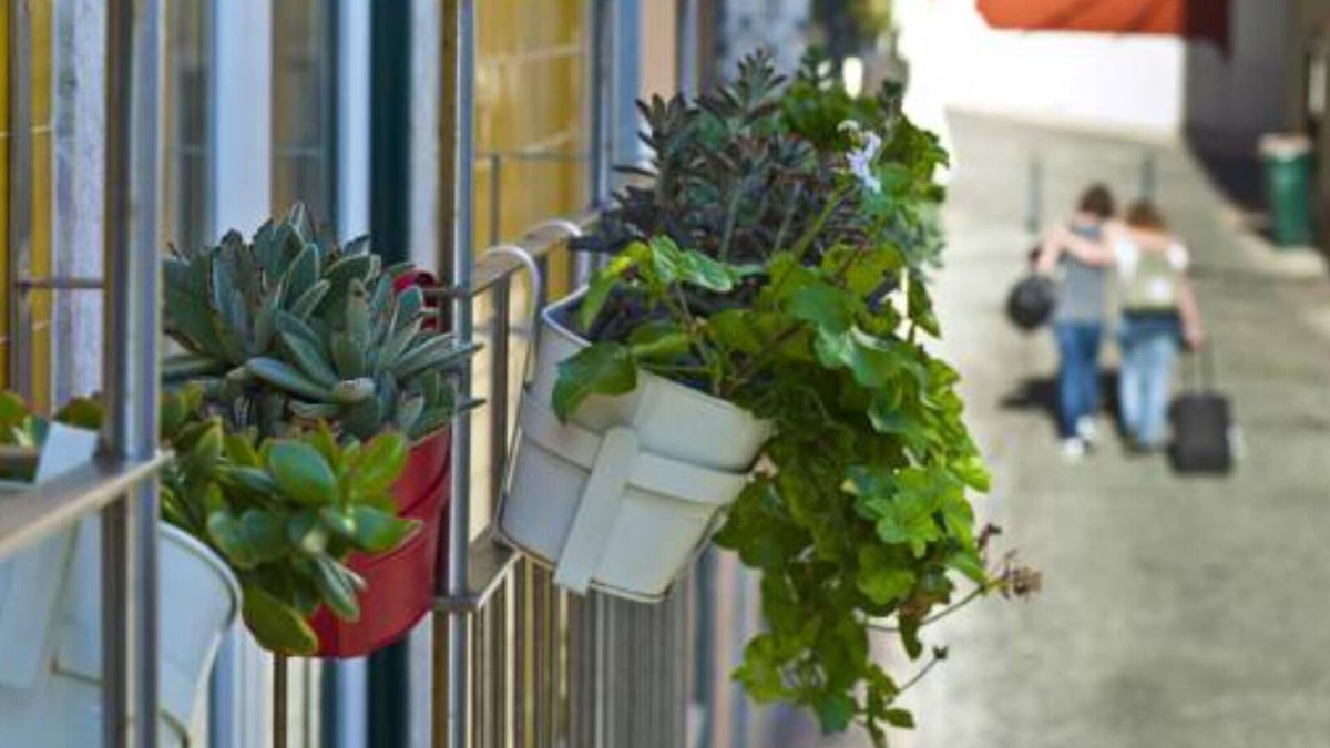 Sacramento Apartment | Duque's Apartments - Chiado 19084/AL