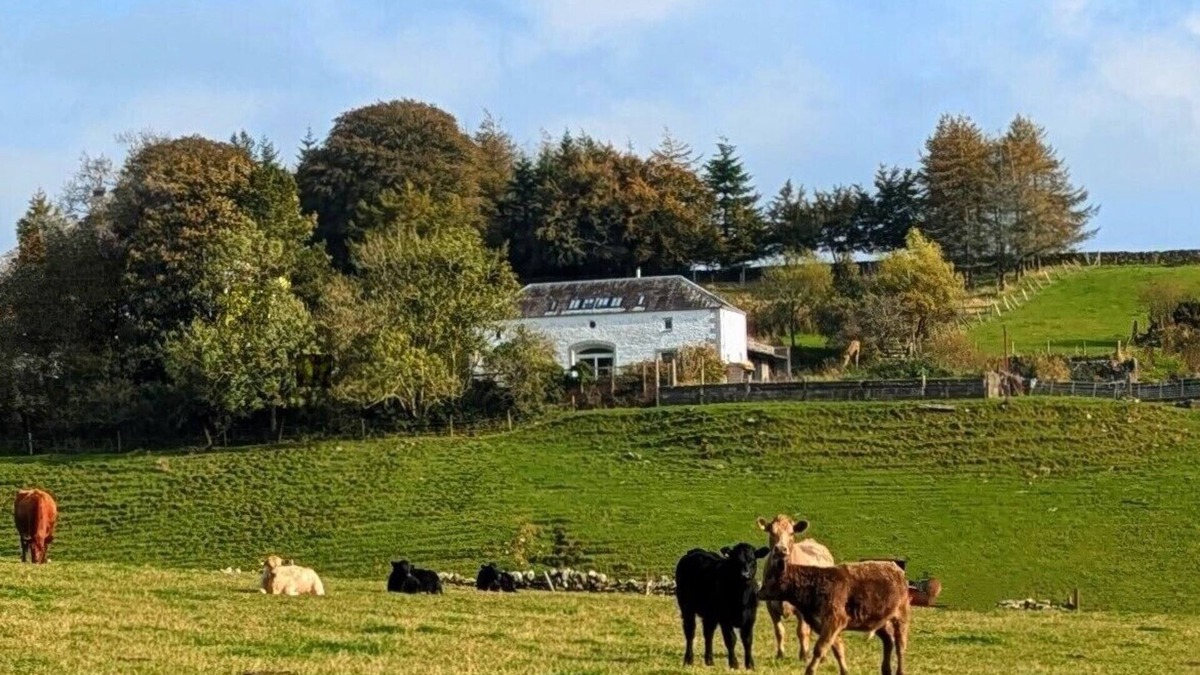 Castle Douglas House | Durhamhill Coach House - llamas, games room/mini cinema, sidecar & fun
