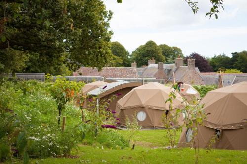 Trinity Other | Durrell Wildlife Camp