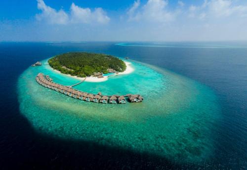 Mudhdhoo Resort | Dusit Thani Maldives - 50 percent discount on transfers for stays until 20 Dec 2025
