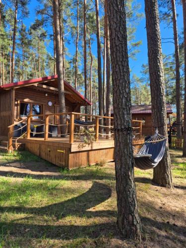 gmina Karsin House | Dziczek