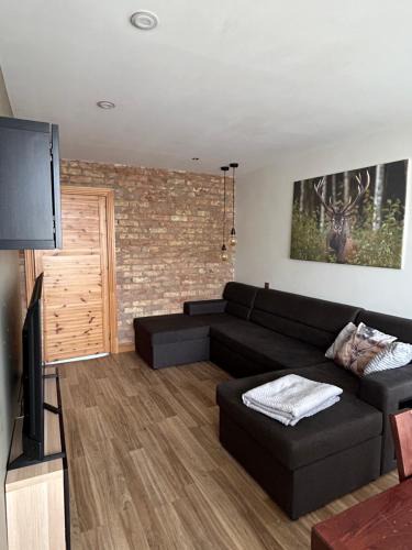 Saldus Apartment | Dzirnavu iela