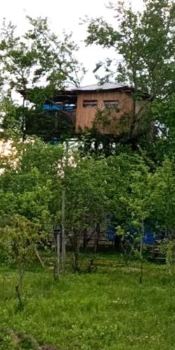 Martivili Apartment | Eagle Nest
