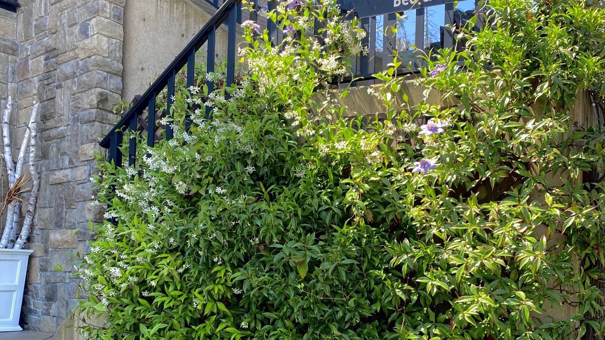 Chemainus Bed & Breakfast | Eagle Rock Bed and Breakfast