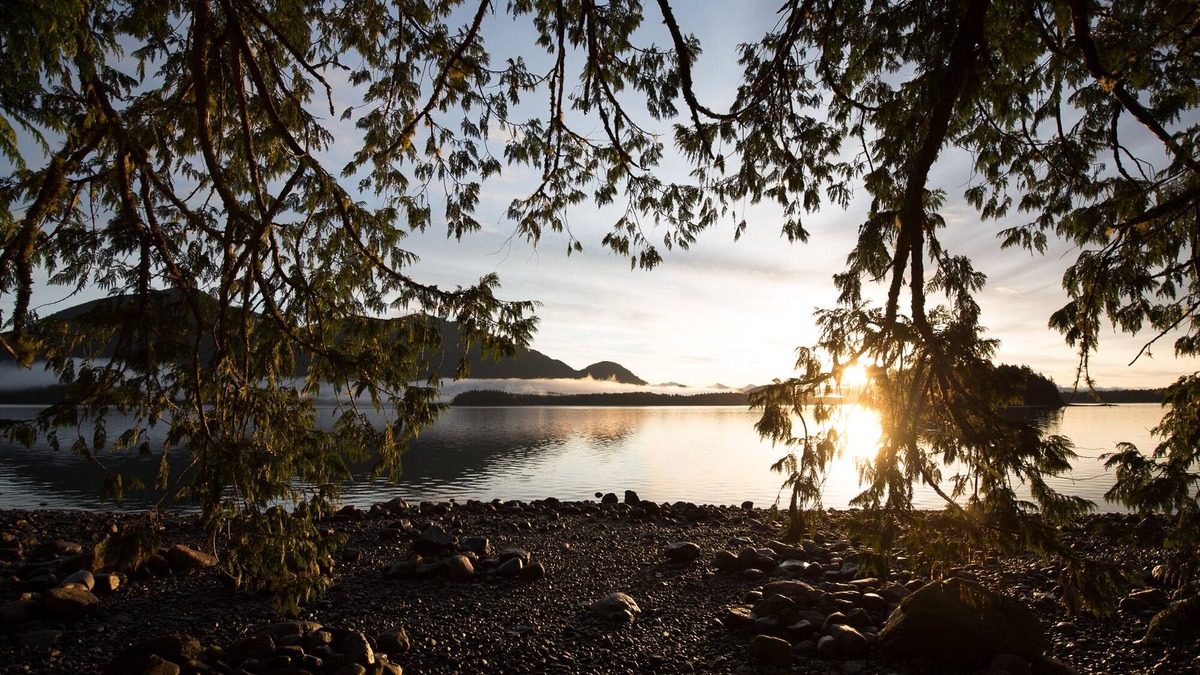 Tofino House | Eagle's Nest Suite-Inlet, Forest Views, Marina