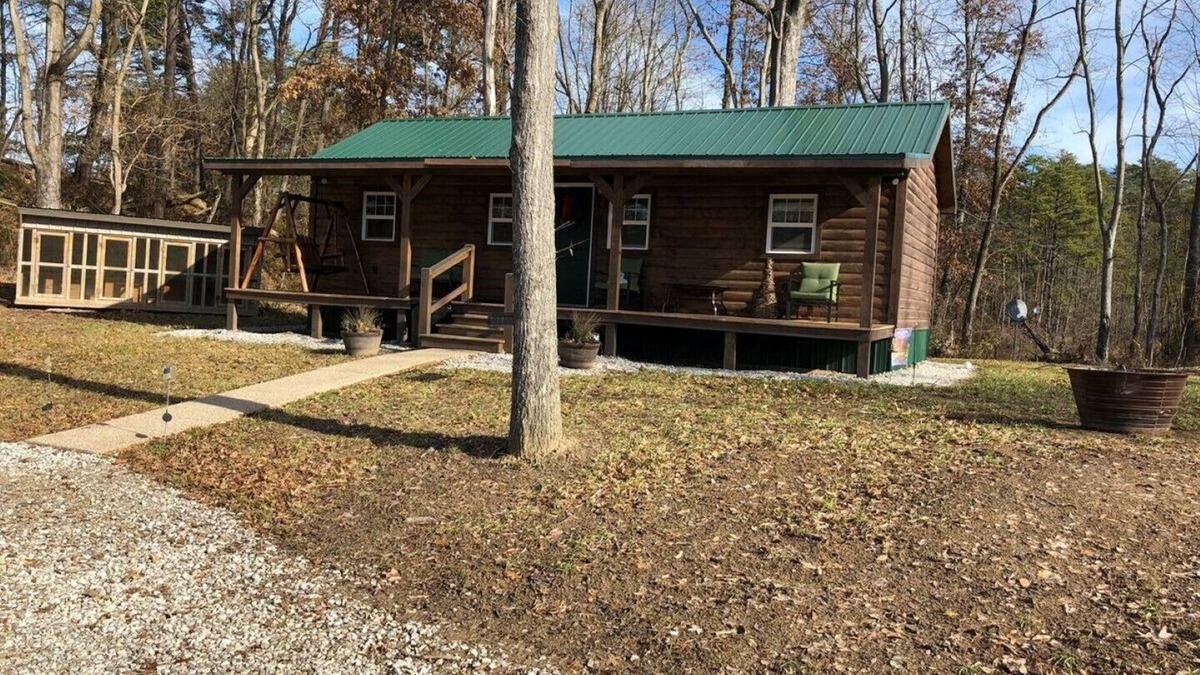 Westphalia Cabin | Eagles Nest Camping Black Creek Cabin