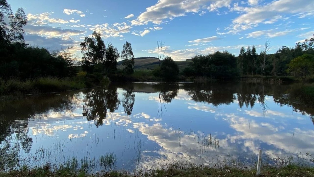 Greytown Cottage | Eagles Rest offers comfortable accommodation situated 9 km outside Greytown