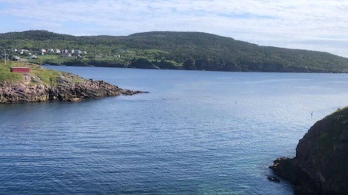 Petty Harbour House | East Coast Oasis - Ocean Views!