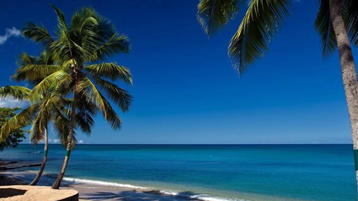 Bois d'Orange Hotel | East Winds Saint Lucia