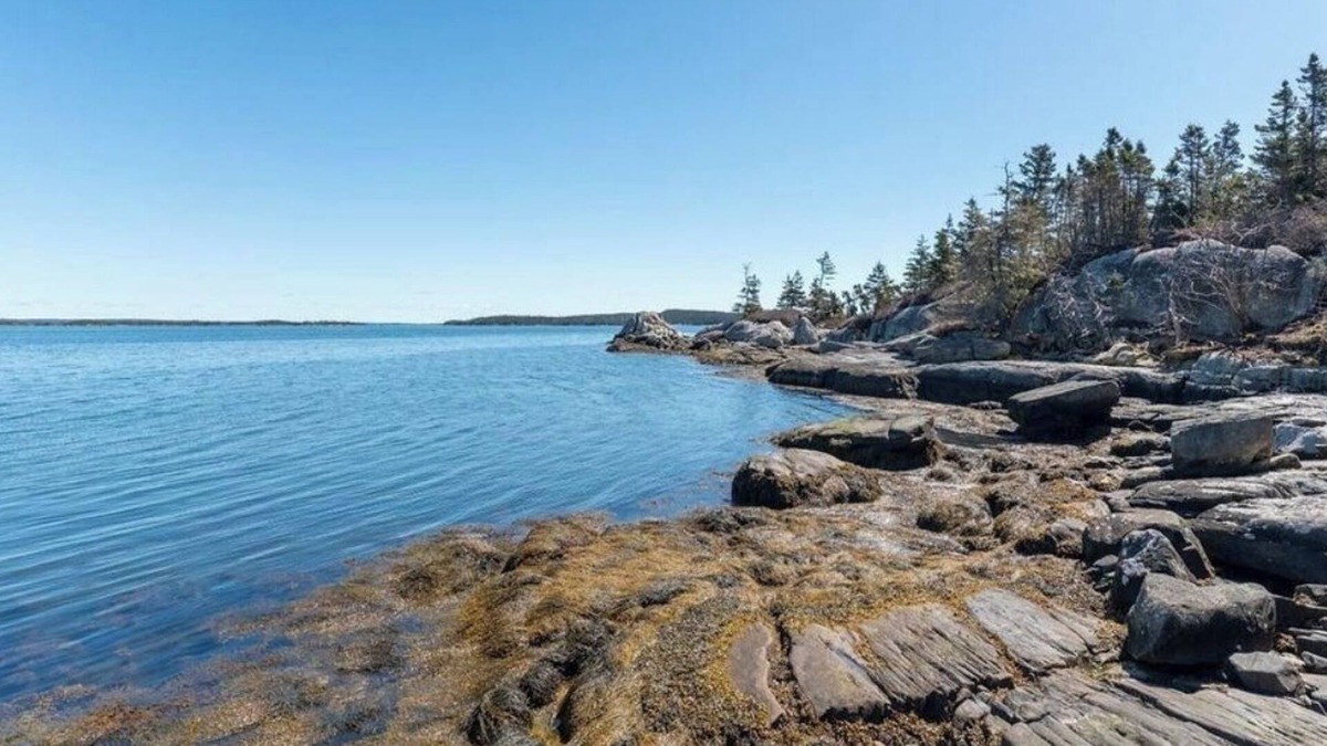 Halifax County Cottage | Eastern Shore Retreat: 9 Acres of woods & 1000 Feet of Private Oceanfront