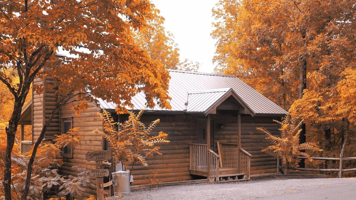 Gatlinburg - Pigeon Forge Cabin | 🐾 EASY ACCESS 🐾 NO Crazy Roads 🐾 BEARS 🐾 5Minutes off Parkway 🐾DOLLYWOOD7Miles 🐾