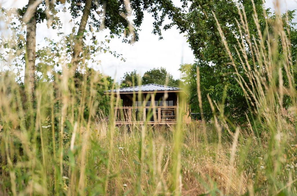 Ecaussinnes Cabin | Ecau Lodge - Logement insolite à 30km de Pairi Daiza