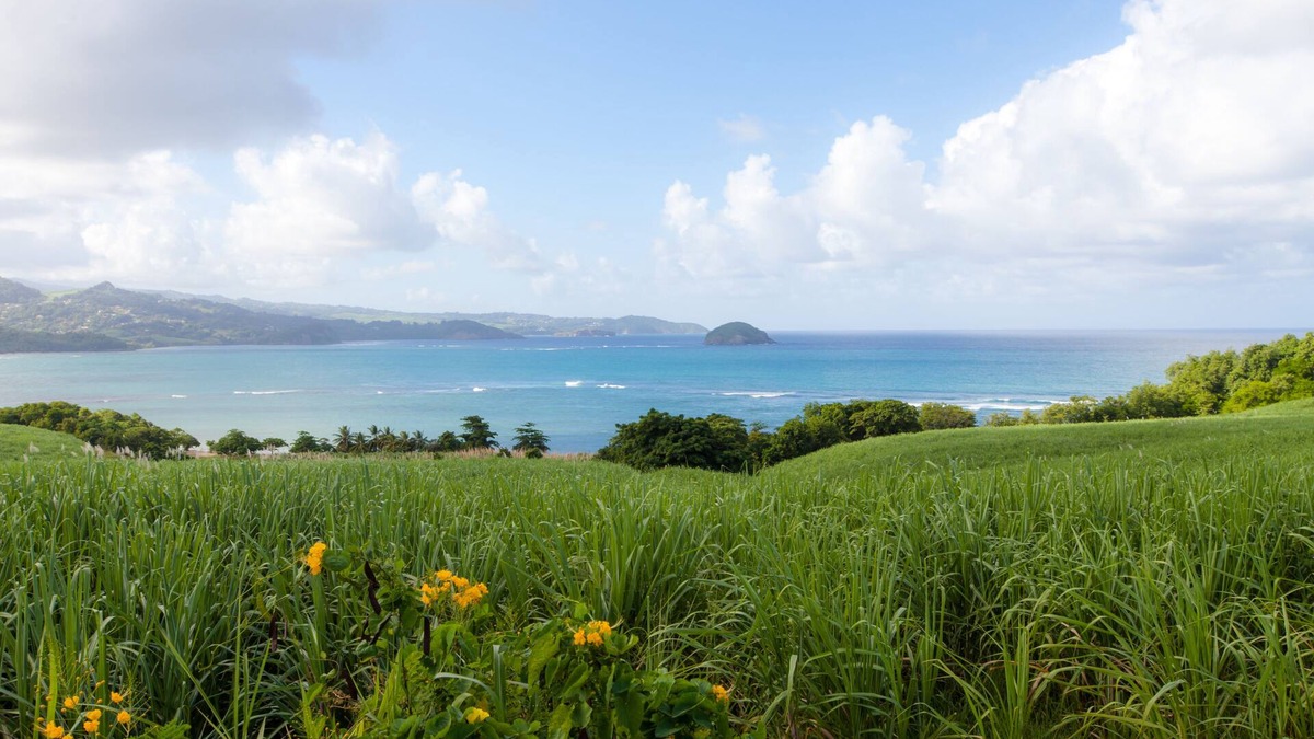 Tartane House | Eclats de Mer, 3 Waterfront Bungalows in Tartane/WIFI Car Rental