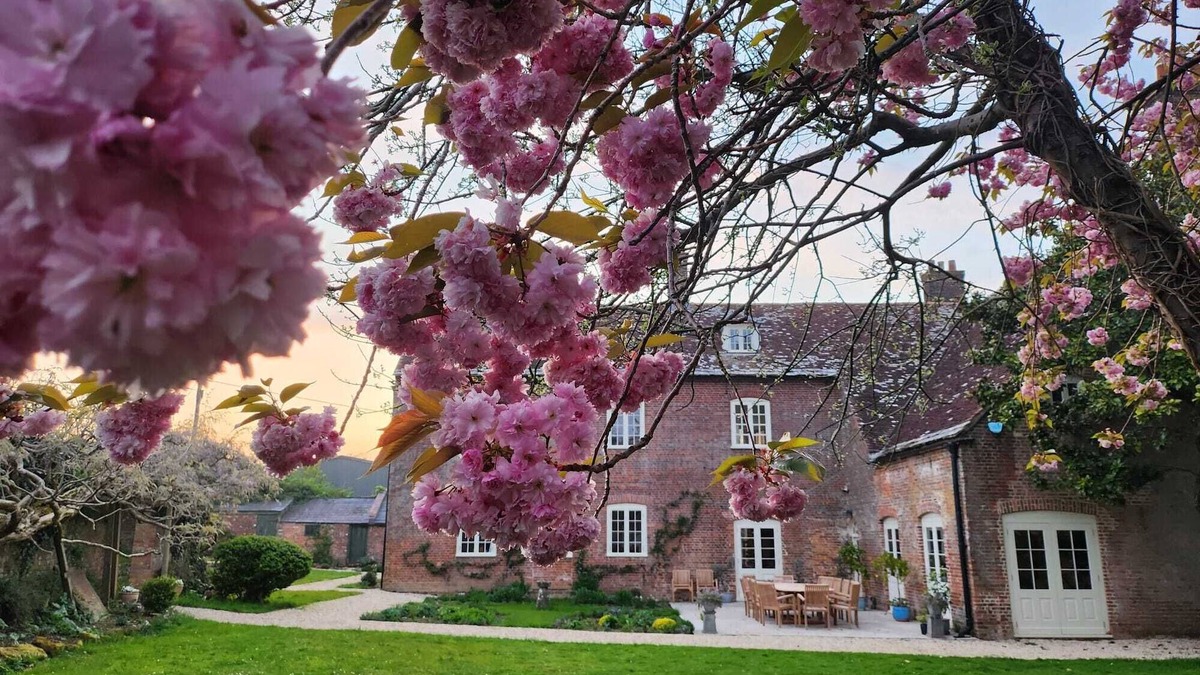 Blandford Saint Mary House | Eclectic Dorset Country House, Hot Tub, Pool Table, Movie Room,12 guests & pets