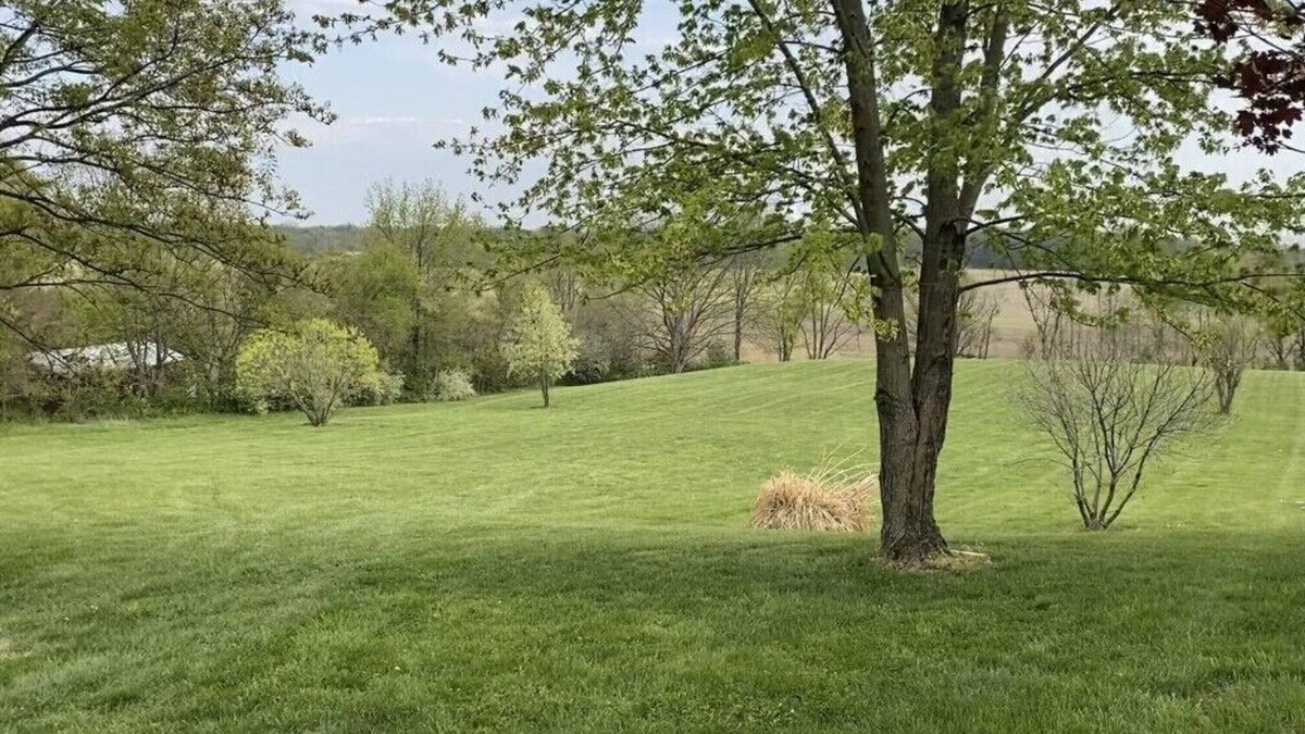 Newburgh House | Eclipse Viewers Check This Out!