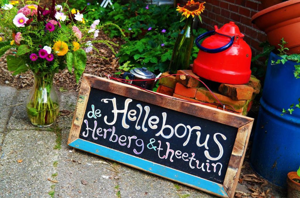 Oosterpoortwijk Other | Eco-Camping De Helleborus, Yurt, Bell & Safari tent, Pipo, Caravans, Dorms and Units