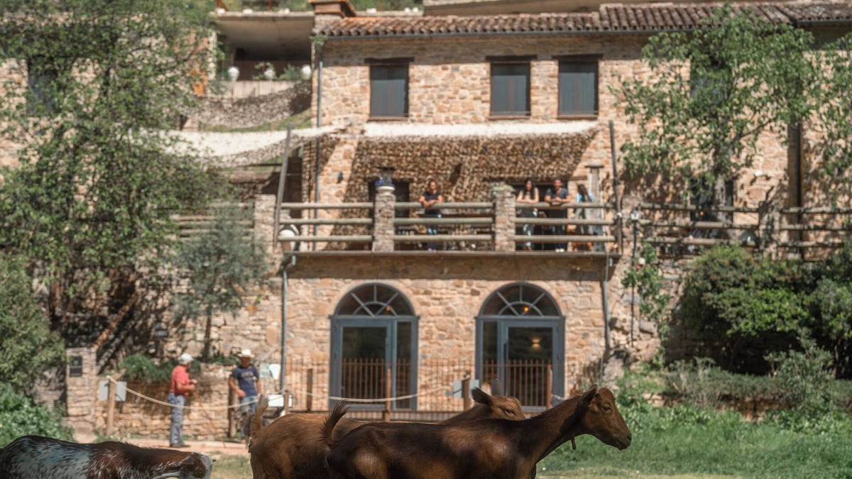 Benaojan House | Eco-Finca Cueva del Gato, ideal for families with pets surrounded by nature.