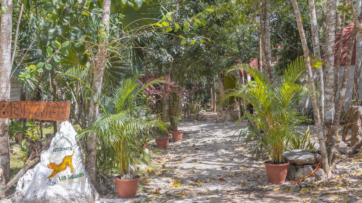 Leona Vicario House | Eco-friendly dome amidst the beautiful jungle, with modern amenities and pool!