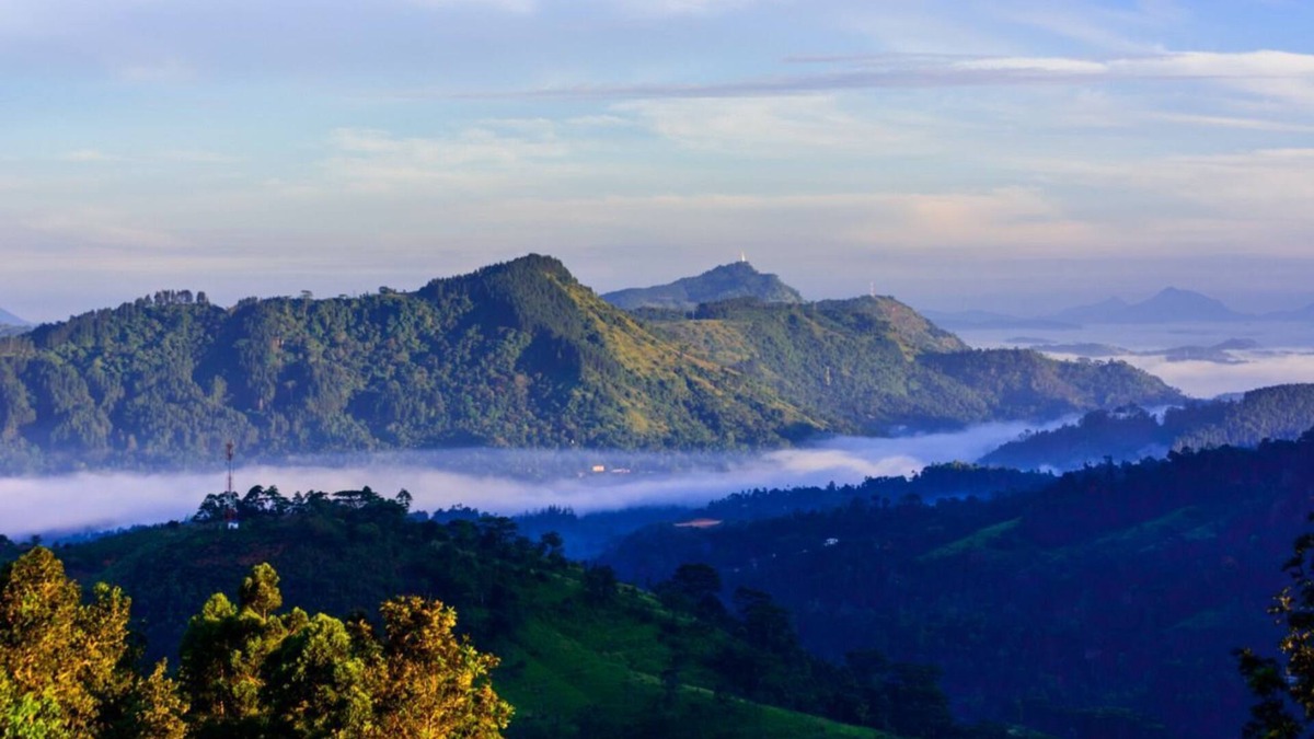 Nawalapitiya Resort | Eco friendly luxury boutique resort located private colonial tea estate