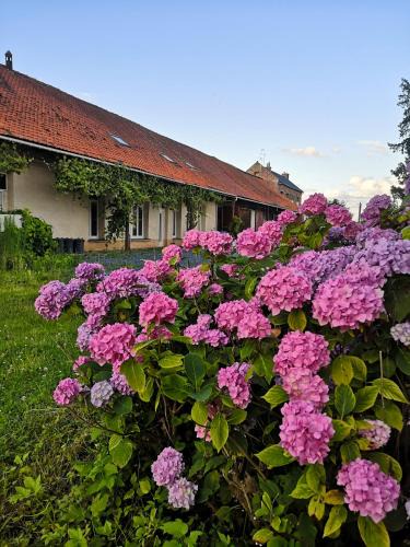 Hornaing House | Eco-Gîte de L'Etang Présent