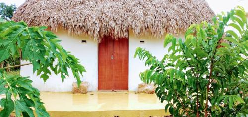 Xocchel Bed & Breakfast | Eco Hacienda ICH-KI