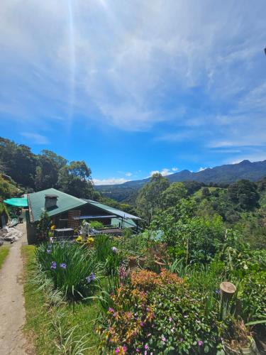 Los Naranjos Bed & Breakfast | Eco Horqueta
