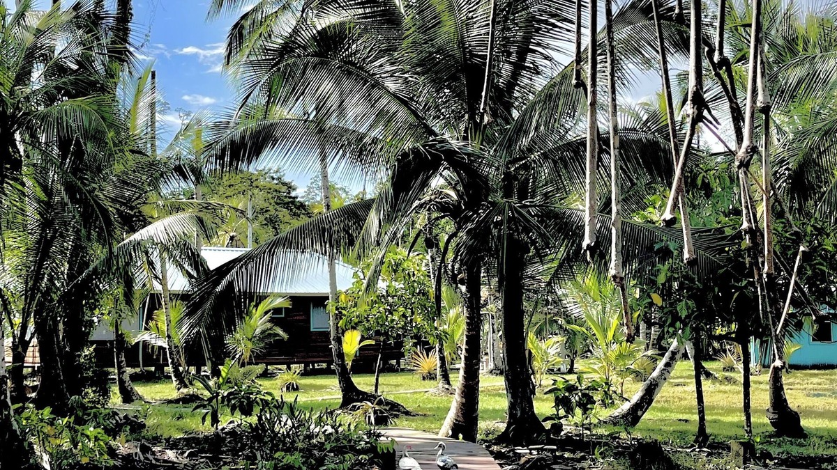 Tierra Oscura House | Eco Lodge La Casa de los Loros