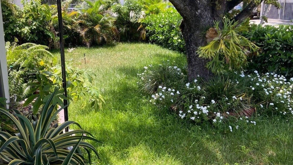 Seybold House | ECO SHARED GARDENIAN
