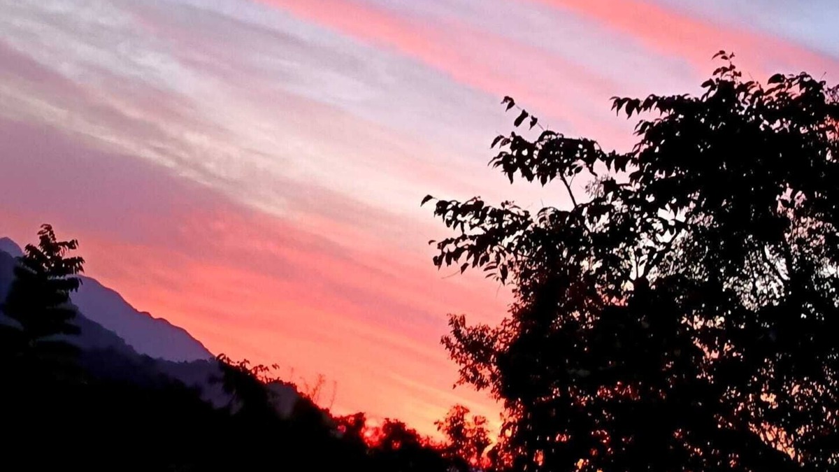 Minca Bed & Breakfast | Eco Vibes, Bird Songs & Mountain Views — Book Your Stay in Minca!
