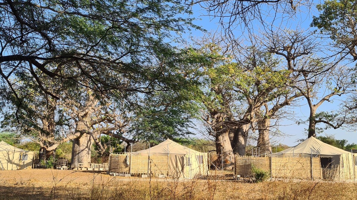 Mbodiene Other | Ecolodge BAKSUNGAN