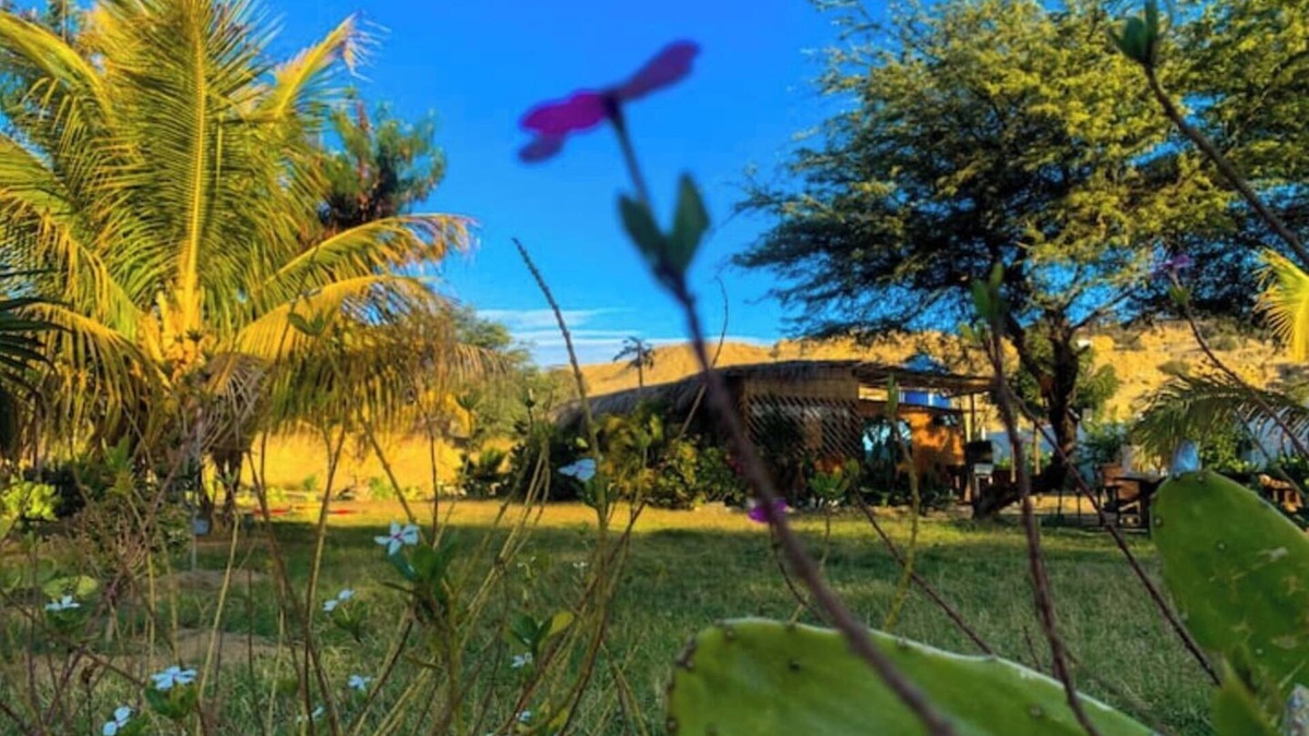 Talara Cabin | Ecolodge Cactus