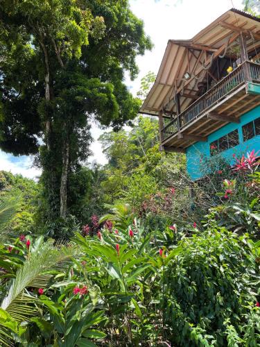Bahia Solano House | Ecolodge el Arca Bahia Solano