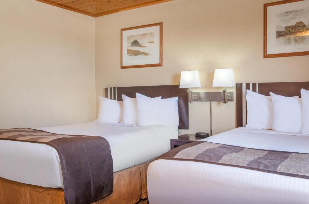 Medicine Hat Hotel | Econo Lodge Inn & Suites