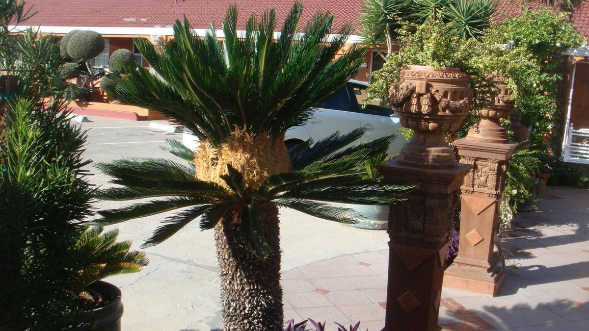 Los Banos Hotel | Economy Inn