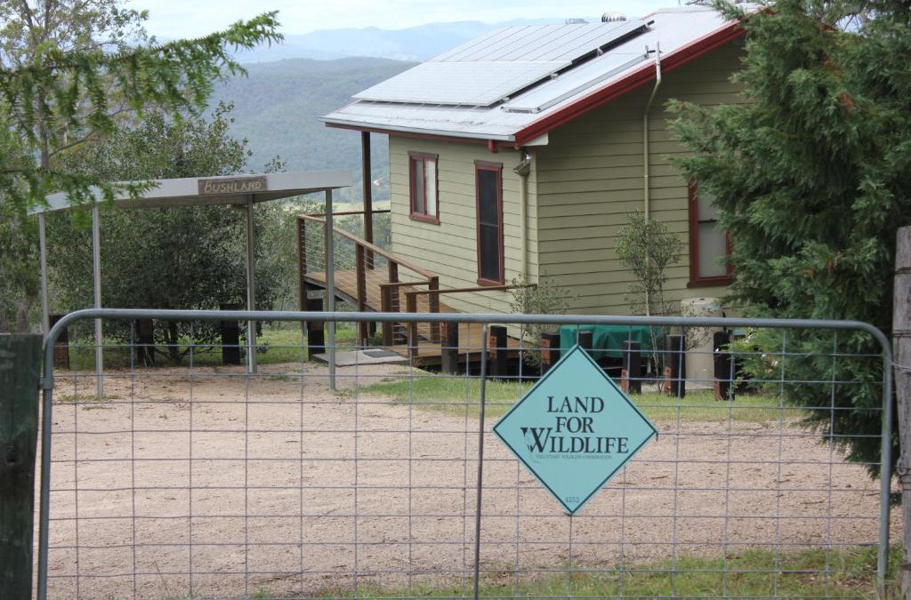 Preston Ski Chalet | ecoRidge Hideaway