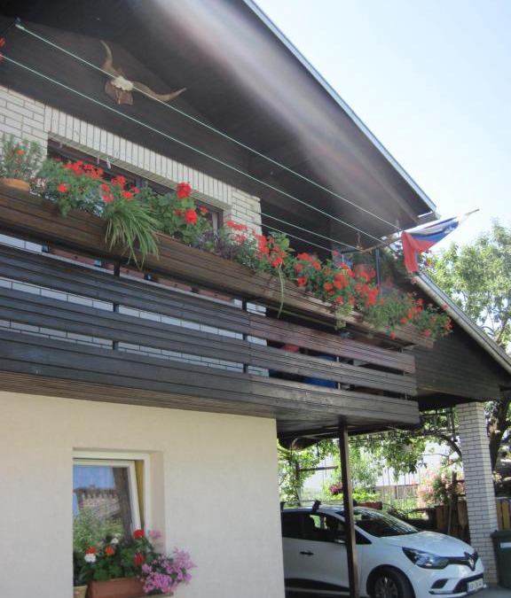 Radovljica Apartment | edelweiss
