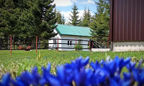 Zabljak House | Edelweiss village apartment