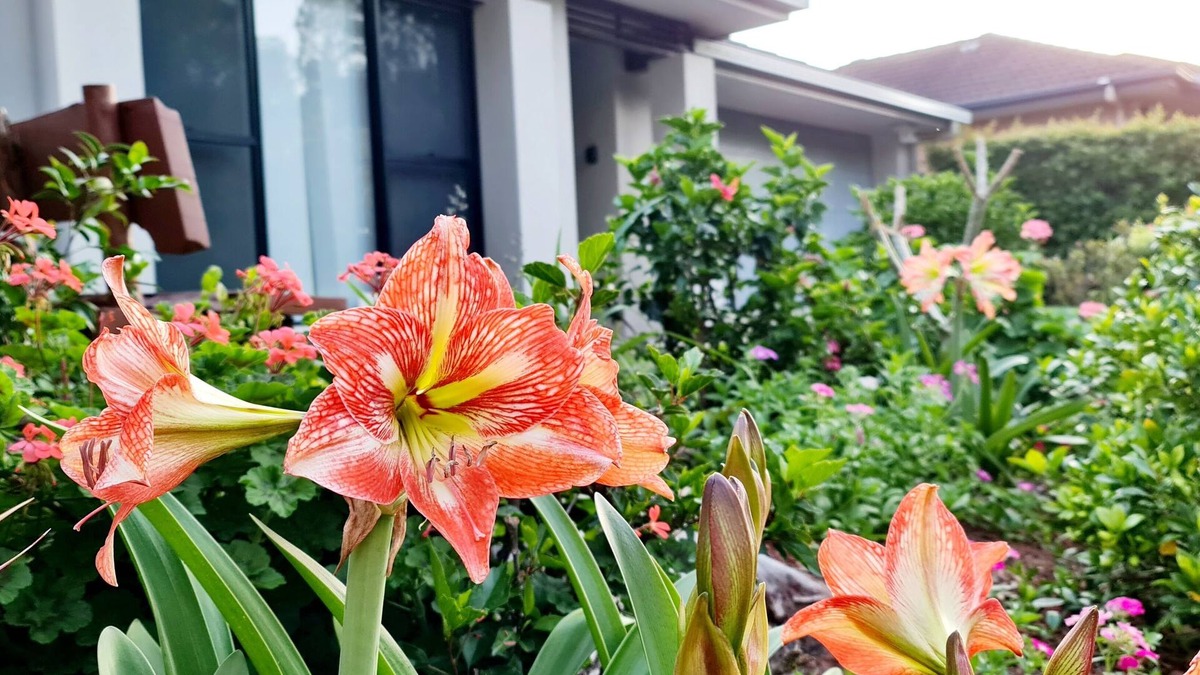 Redland Bay House | Eden, Elegance by the Bay