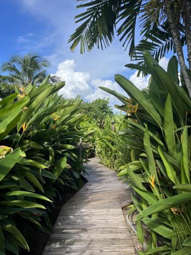 Sainte-Luce Cabin | Eden Paradise Ecolodge & Spa