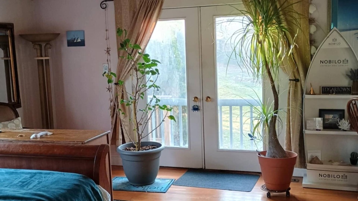 Edgartown Apartment | Edgartown convenience to beach, restaurants, shopping and public transportation.