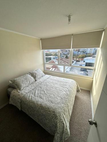 Temuco Apartment | Edificio león Gallo