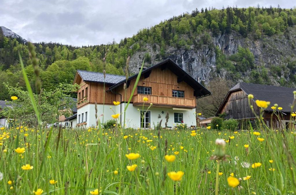 Goessl Apartment | Egglmeier's Ferienwohnung