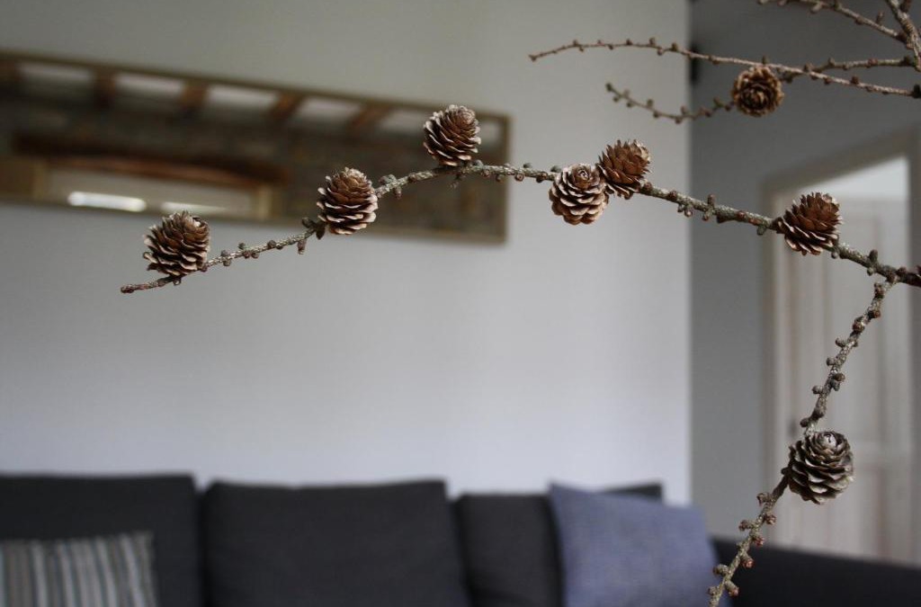 Hondarribia Historic Center Apartment | Eguzkilorea