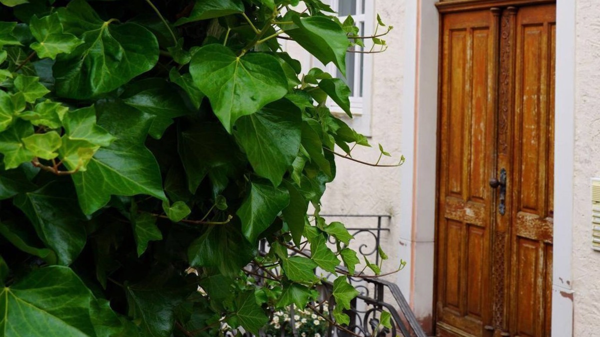 Neuerburg Apartment | Eifel Fewo - 4-bed vacation apartment shower/WC, 2 bedrooms