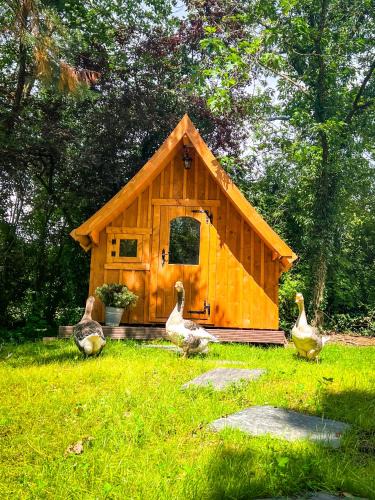 Ulmen House | Eifelhüttchen Rotkehlchen