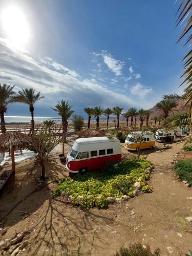 Ein Gedi Other | Ein Gedi Camp Lodge