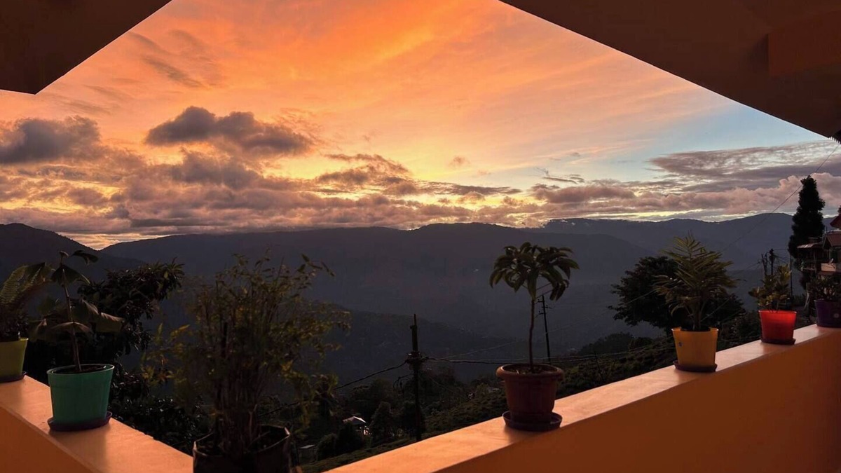 North Point House | Ejam House, with a tea garden viewnn