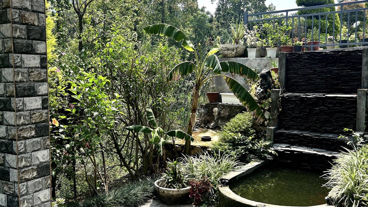Bullawala Bed & Breakfast | Ekantam Resort