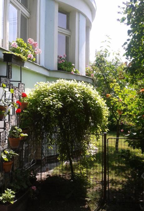 Zizelice House | EKO-penzion Hamry