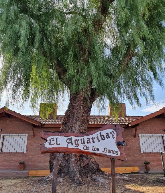 Mina Clavero Apartment | El Aguaribay de los Nonos